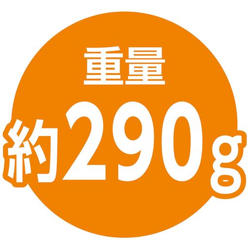 重量 約290g