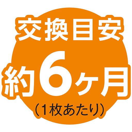 交換目安 約6ケ月