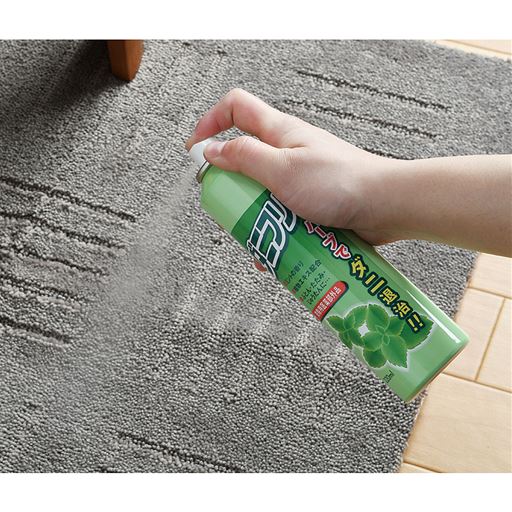 カーペットにも