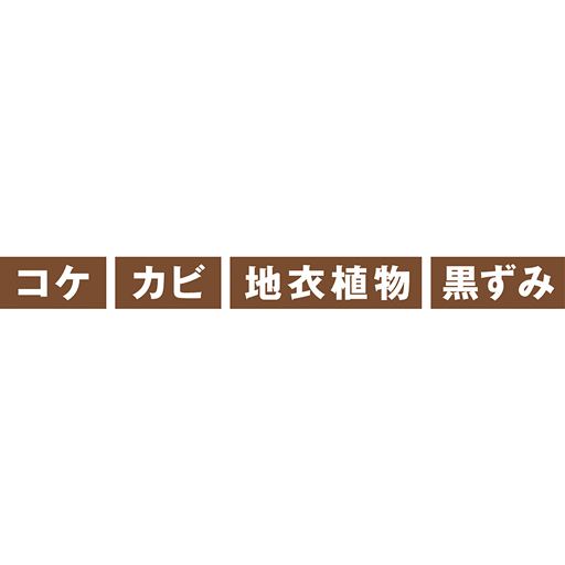 コケ カビ 地衣植物 黒ずみに