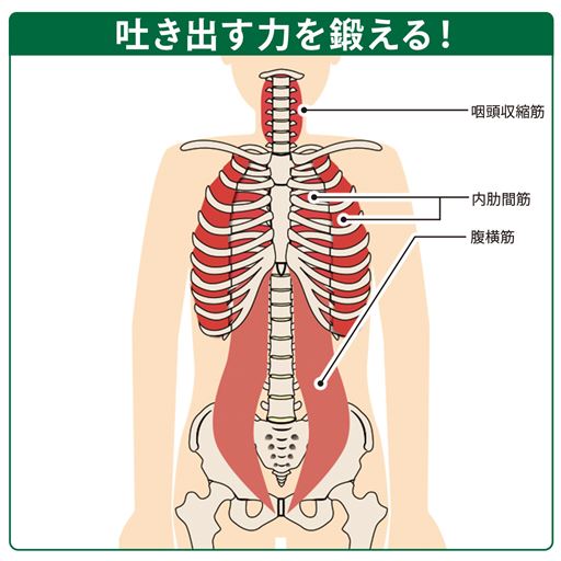 負荷をかけることで息を吐く時に重要な呼吸筋(咽頭収縮筋・内肋間筋・腹横筋)が鍛えられ、誤嚥防止に繋がります。パワーブリーズは負荷を自分で調節できるので初心者でも安心。ちょっとつらいと感じる程度が目安です。※イメージ