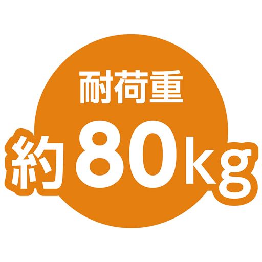 耐荷重約80kg