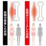 ※イメージ