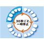 2分間の歯磨きタイム 30秒ごとに一時停止、2分で自動停止して、磨きすぎを防止