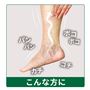 ※イメージ