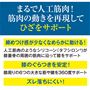 まるで人工筋肉!筋肉の動きを再現してひざをサポート