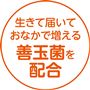 生きて届いておなかで増える善玉菌を配合
