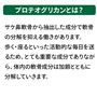 プロテオグリカンとは?