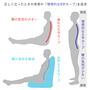 正しく立ったときの背骨の理想的なS字カーブを追求しました。