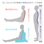 正しく立ったときの背骨の理想的なS字カーブを追求しました。