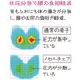 背もたれにも体の重さが分散し、腰やお尻の負担が軽減。
