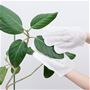 デリケートな植物も優しくお掃除