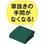 グリーン