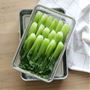 サイズA(1/1)野菜の下準備に便利なサイズ。魚の塩ふり・揚げ物の油切りなども十分に行えます。※WF-6563システムバット(1/1)とセットで使えます