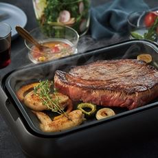 レコルト ホットプレート RHP-1