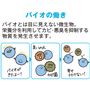 バイオとは