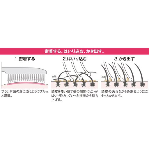 密着する、はいり込む、かき出す。