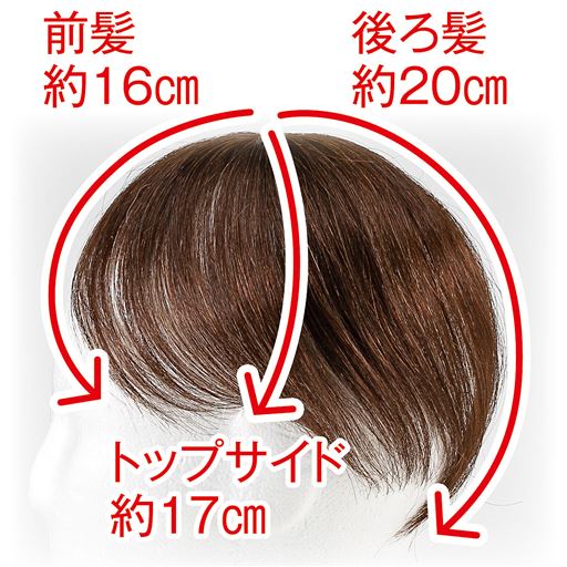 後ろ毛足長め