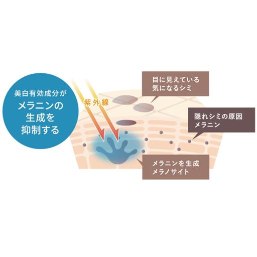 ［美白有効成分がメラニンの生成を抑制する］ <br>シミの原因と紫外線による肌ダメージに着目。有効成分でアプローチします。<br>※イメージ