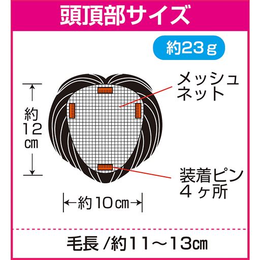 頭頂部サイズ ※イメージ