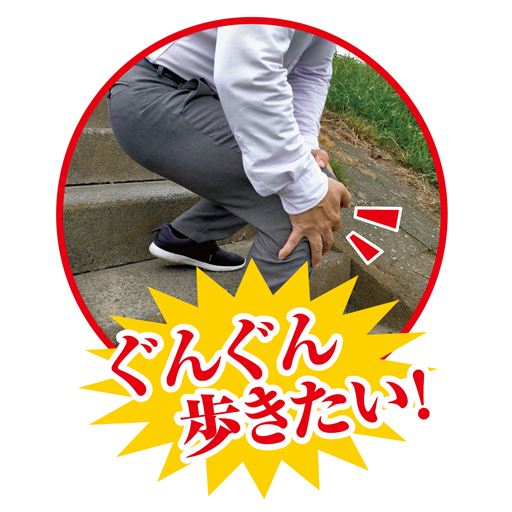 ※イメージ