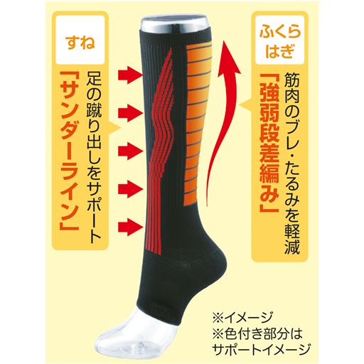 ダブルサポート