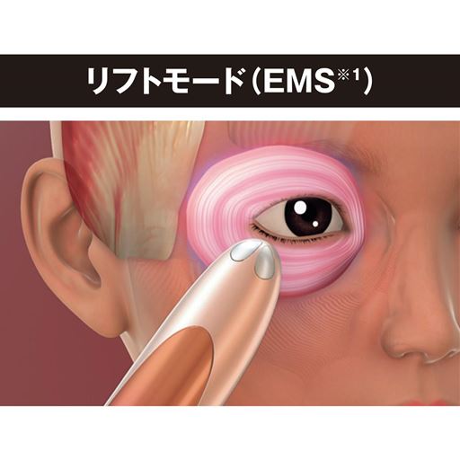 繊細で複雑に配置された顔の筋肉をEMS(※1)でケア。<br>※1 電流で筋肉を刺激する運動<br>※イメージ