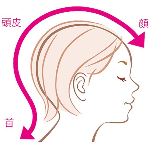 頭皮と顔は1枚の皮で繋がっているので、お顔のケアだけでなく、頭皮のケアも大切。<br><br>※イラストはイメージです。