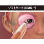 繊細で複雑に配置された顔の筋肉をEMS(※1)でケア。<br>※1 電流で筋肉を刺激する運動<br>※イメージ