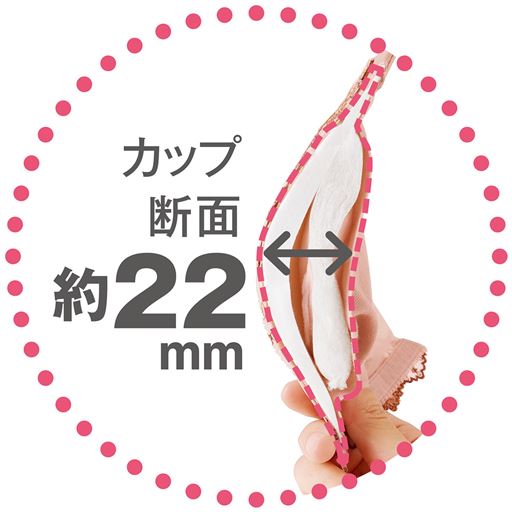 カップ断面 約22mm