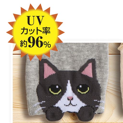 A(ハチワレ)