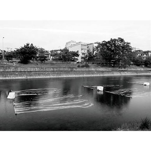 江戸時代中期、京の絵師・宮崎友禅の画風が染め物として広まりました。染色技術の発展で、今もなおその美しさが受け継がれています。