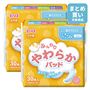 A 吸収量～50cc 10×23.5cm 30枚入×2個