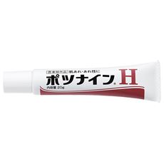 ポツナインH