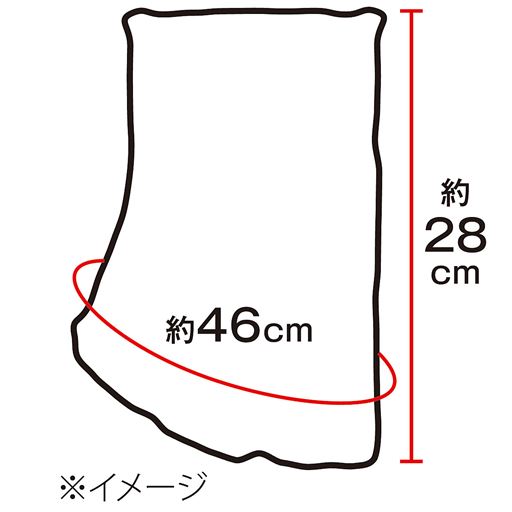 ※イメージ