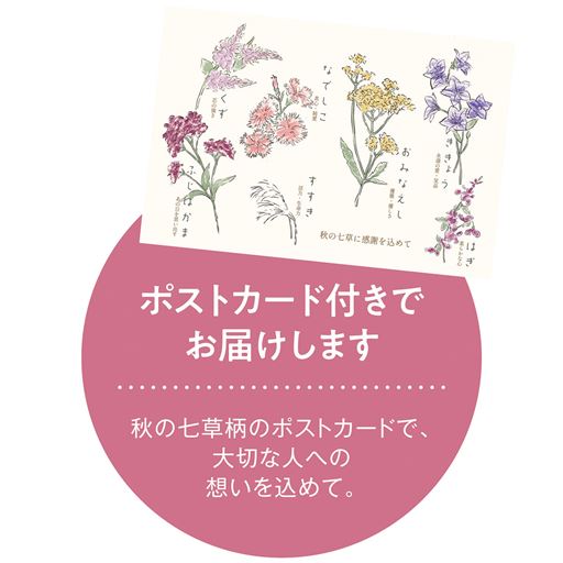 ポストカード付きでお届けします。