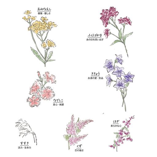 カラーC(あきの七草｝花言葉に想いをこめて