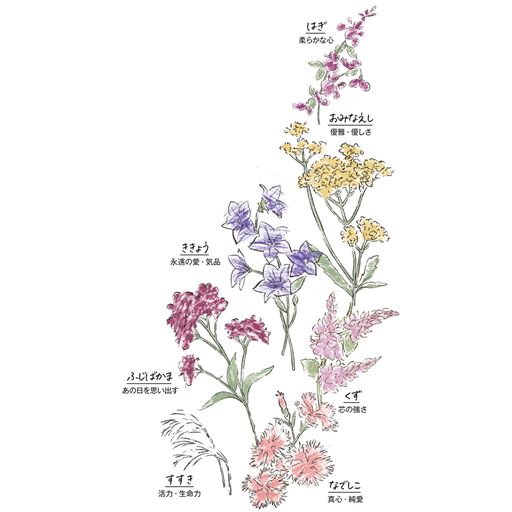 秋の七草柄