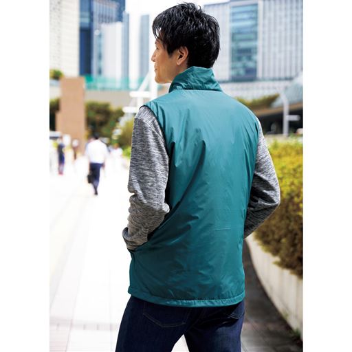 ブルーグリーン バックスタイル