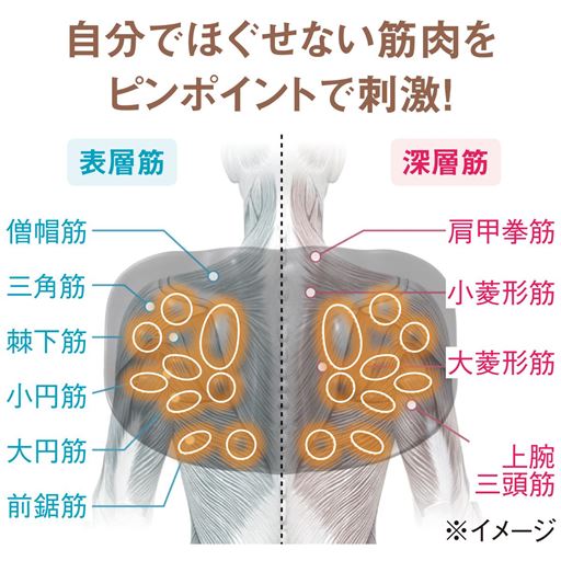 自分でほぐせない筋肉をピンポイントで刺激!