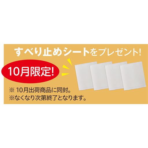 すべり止めシートをプレゼント! 10月限定! ※10月出荷商品に同封。※なくなり次第終了となります。
