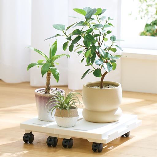 重さのある観葉植物や家電、すき間収納もキャスター移動でラクに。