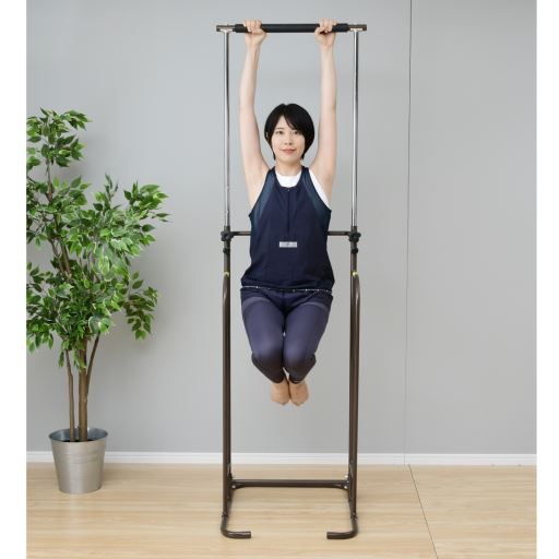 ぶら下がり健康器具 ぶら下がり健康器