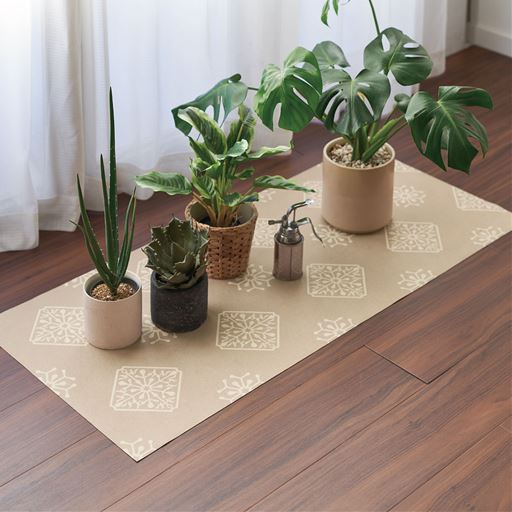 ベージュ<br>植物の下に。