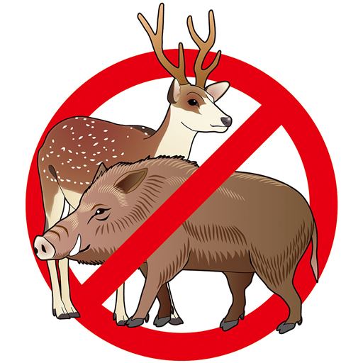 ヒトデパワーで猪・鹿・ハトを寄せ付けない!