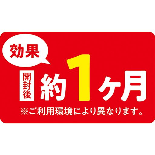 ※ご利用環境により異なります。