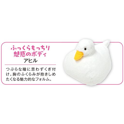 B(アヒル)