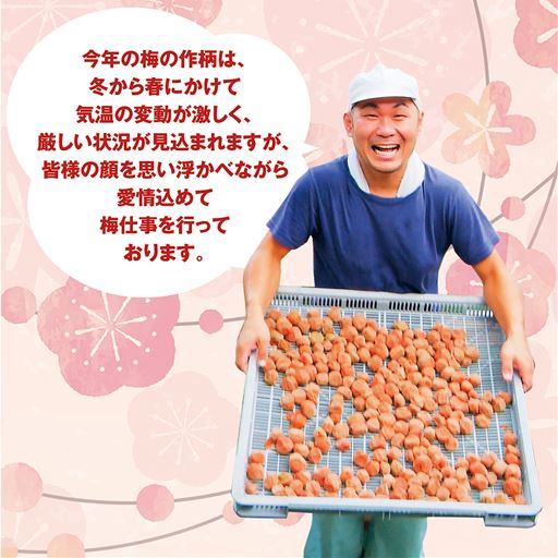 生産者団体 パンドラファームグループ社 西本さん