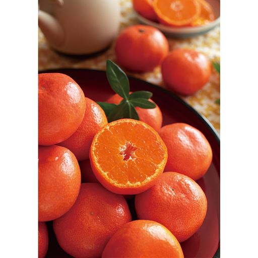 ※イメージ写真