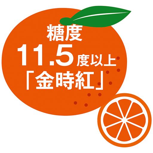糖度11.5度以上 「金時紅」